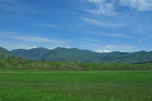 绿野青山间的美丽风光