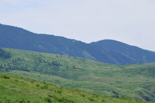 青山绿野间的秀丽风光
