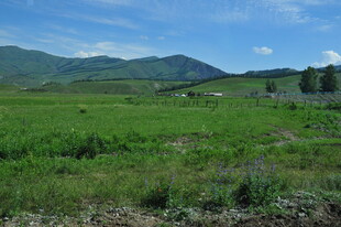 广袤绿野与远山美景