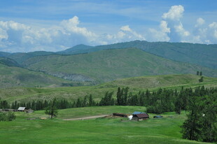 田园绿野中的乡村景致