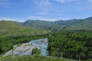 青山绿水间的蜿蜒河流