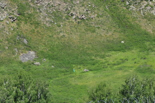 山间翠绿草地景观