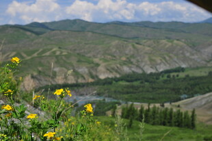 山间美景 繁花绿树映河谷