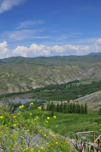 山间绿野繁花美景