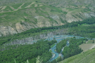山间蜿蜒河流与葱郁植被