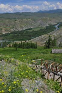 山间美景 木栏繁花映绿野