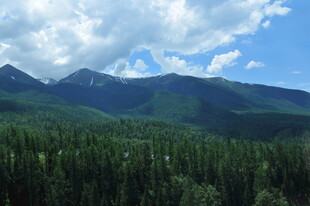 青山林海间的壮美风光