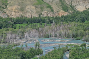 山间蓝湖与葱郁植被景观