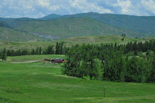 草原山林间的美丽景致