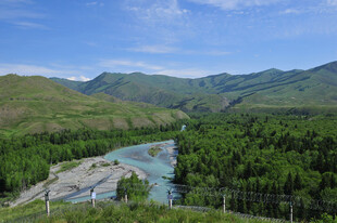 山间河流穿林而过美景