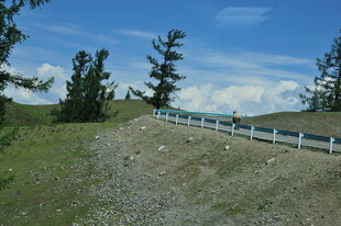 山间碎石路旁的护栏景观