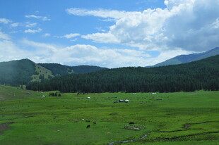 草原风光 远处山峦与蓝天