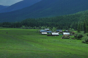 草原上的多彩帐篷营地