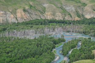 山间河流穿林而过美景