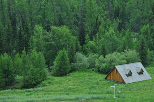 山林中的静谧小屋