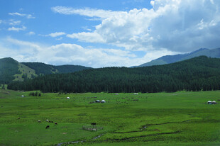 草原风光 远山与蓝天白云