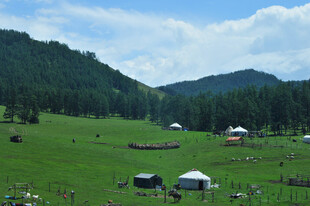 草原上的蒙古包与青山