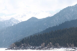 雪山下的山林美景