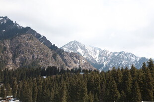 山林间的巍峨雪山景色
