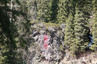 山林间红色标识醒目