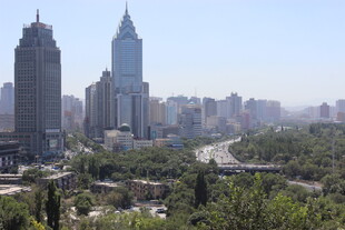 城市天际线与葱郁绿植