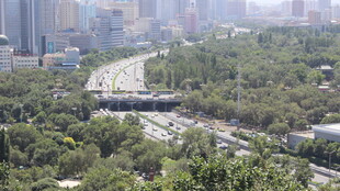 城市中穿行于绿树间的公路