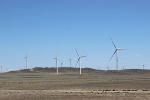 草原上的风力发电机组