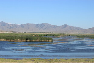 草原湖泊与远山美景