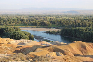 沙漠中的河流绿洲景观