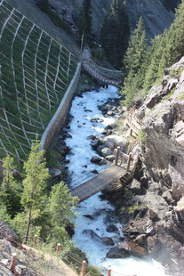 山间河流旁的绿色景致