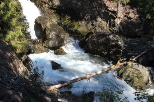 山间瀑布溪流与倒木景观