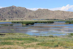 湖畔草原与远山美景
