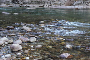 清澈溪流中的多彩鹅卵石