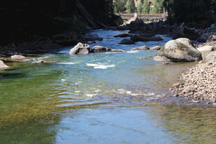 山间清澈溪流风景