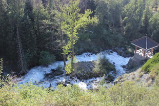 山间溪流旁的静谧景致