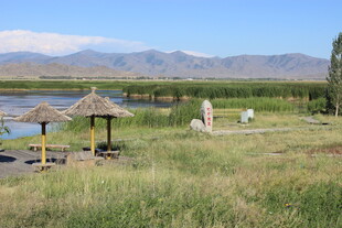 草原湖畔的休闲风光