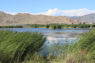 湖畔葱郁植被与远山美景