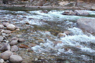 山间溪流潺潺 石间流水