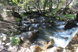 山间溪流潺潺的自然美景
