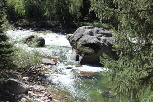 山间溪流旁的自然景致