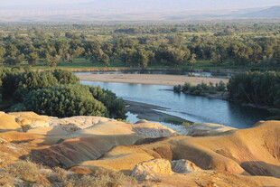 河畔沙堆与葱郁植被景观