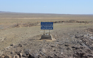 旷野中的蓝色指示牌