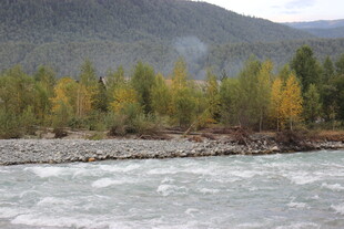 山间河流旁的多彩树林