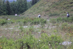 山间徒步者穿行于绿野