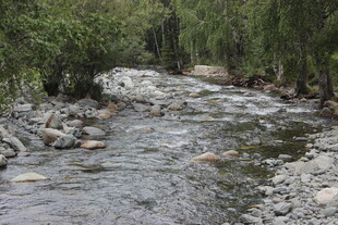 山间溪流潺潺 绿意环绕