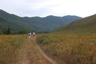 山间小径上的徒步旅行者