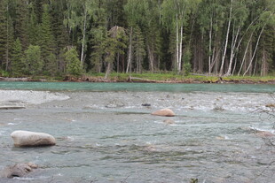 山间清澈溪流与散落石块