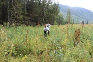 人在野外草地间徒步