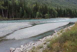 山间河流与葱郁树林景观