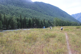 山间草地徒步者的惬意之旅